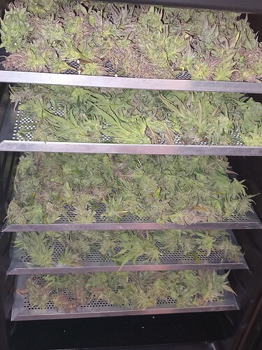 Growreport Bild 6