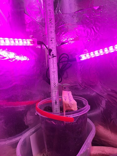Growreport Bild 2