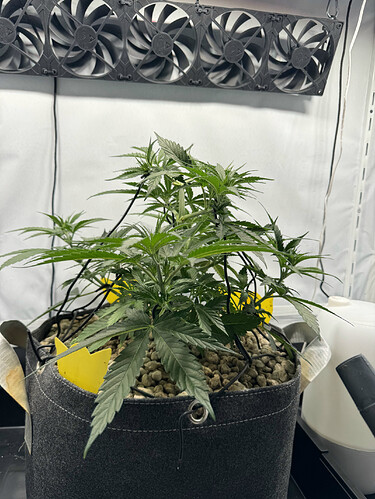 20240507_192655532_iOS