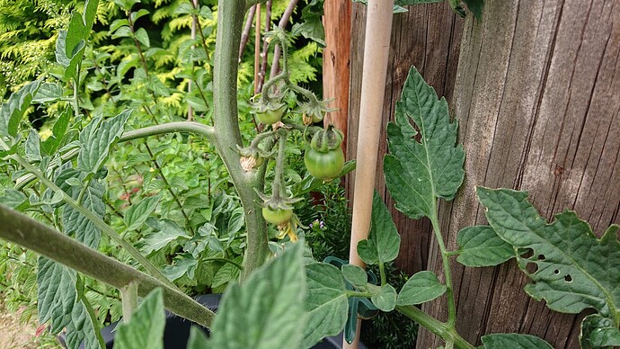 Growreport Bild 16