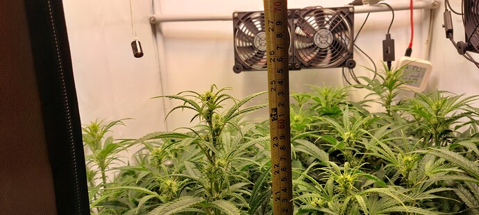 Growreport Bild 12