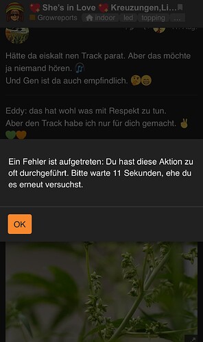 Growreport Bild 97