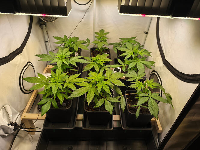 Growreport Bild 8