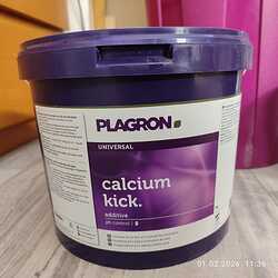 Calcium Kick