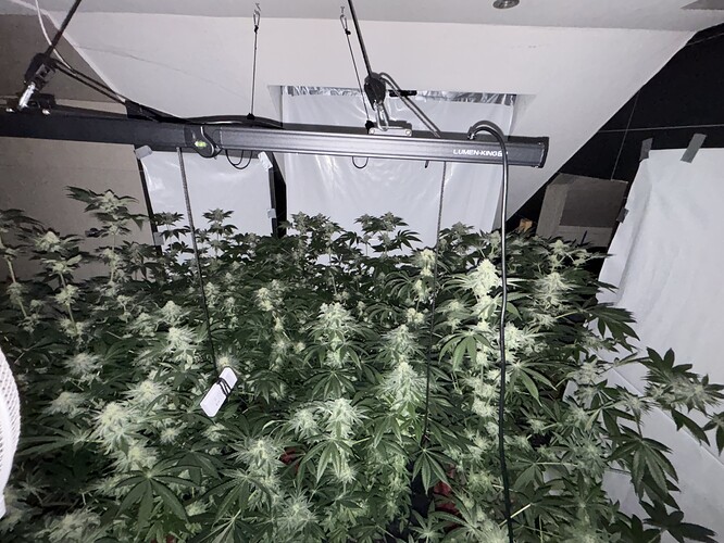Growreport Bild 5