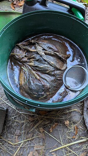 Growreport Bild 7