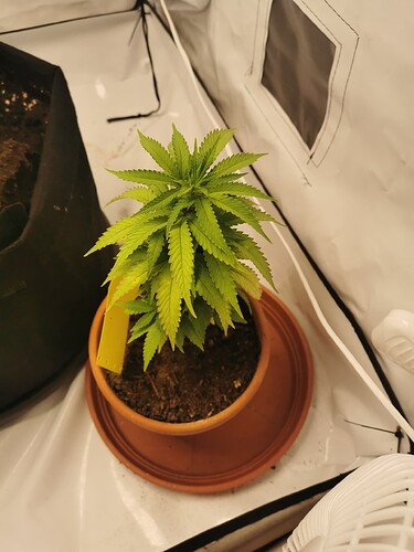 Growreport Bild 10