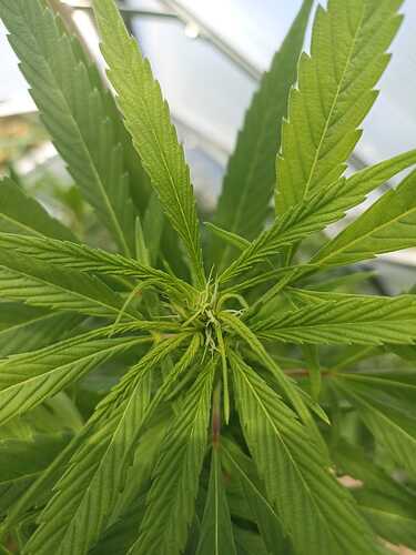 WhatsApp Bild 2024-09-18 um 11.37.41_f2acf5dc