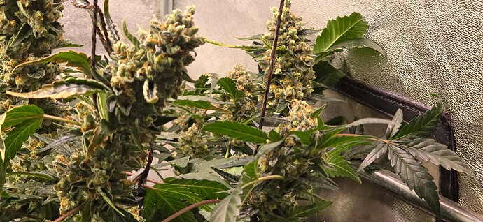 Growreport Bild 12