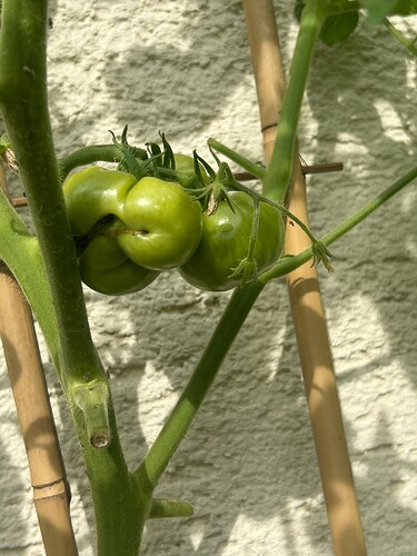 Growreport Bild 24