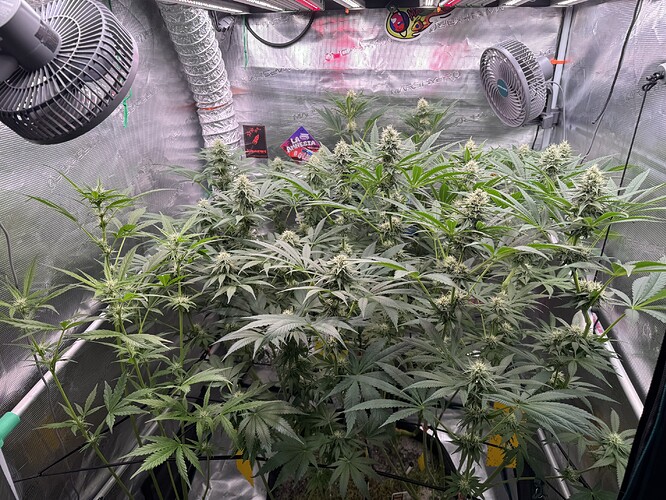 Growreport Bild 2