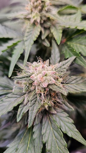 Growreport Bild 10