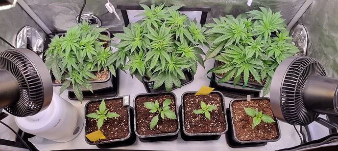 Growreport Bild 25