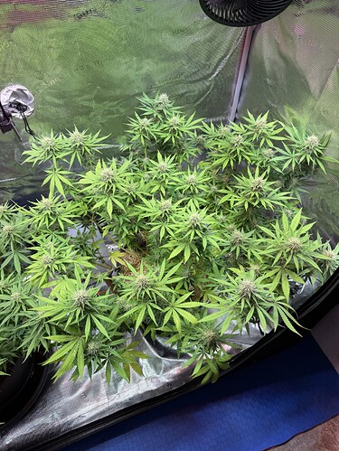 Growreport Bild 21