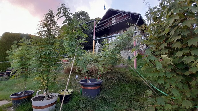 Growreport Bild 6