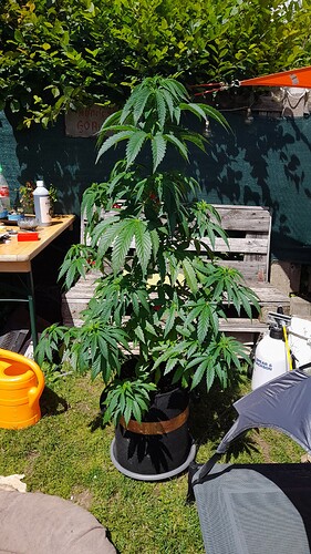 Growreport Bild 14