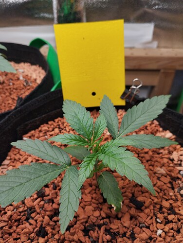 Growreport Bild 2