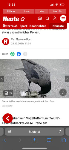 Growreport Bild 18