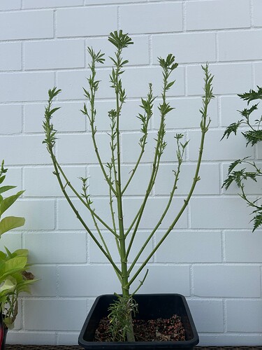 Growreport Bild 21