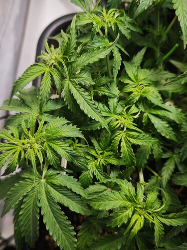 MVIMG_20251017_162143