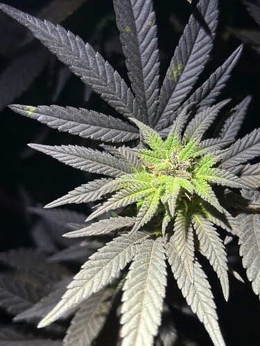 Growreport Bild 10