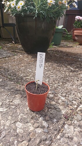 Growreport Bild 7