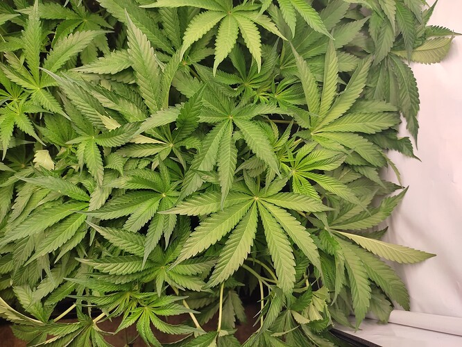 Growreport Bild 12