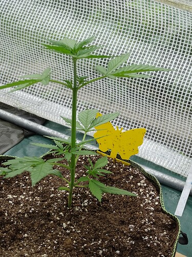 Growreport Bild 18