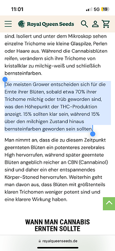 Growreport Bild 11