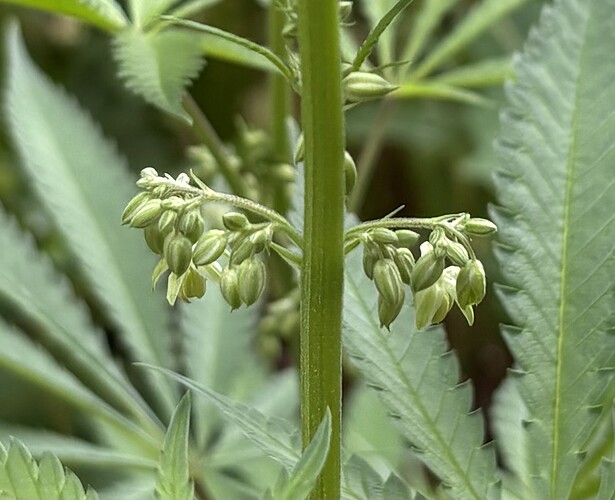 Growreport Bild 1