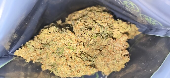Growreport Bild 1