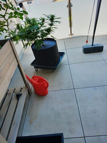 Growreport Bild 21