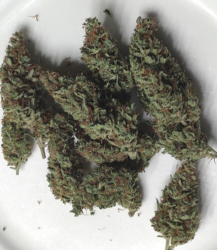Growreport Bild 17