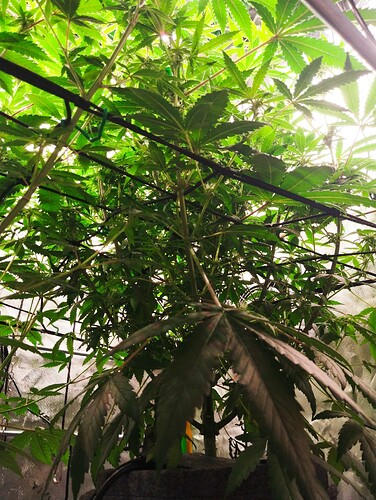 Growreport Bild 11