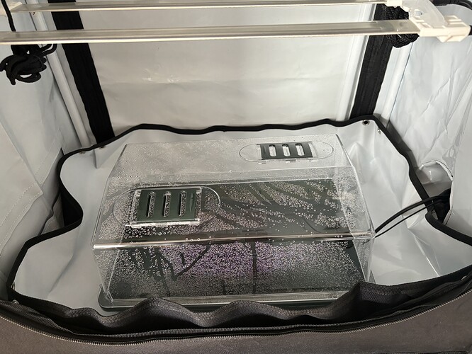 Growreport Bild 5