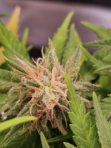 Growreport Bild 10