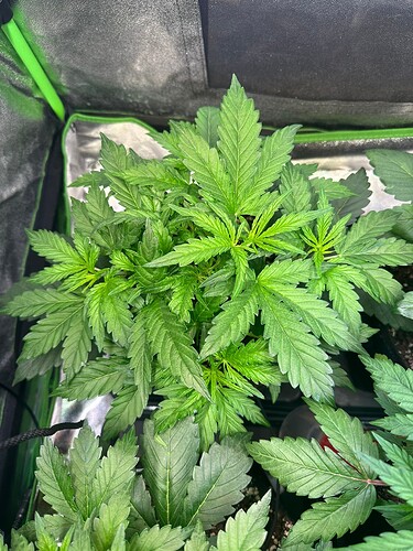 Growreport Bild 11
