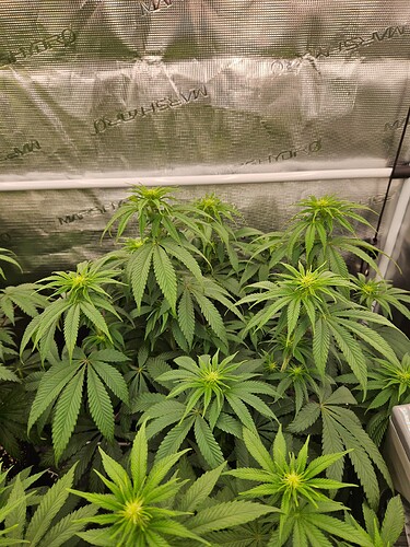 Growreport Bild 11
