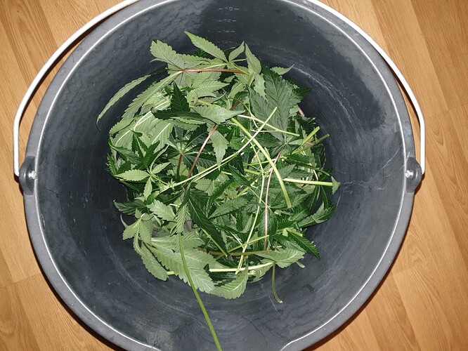 Growreport Bild 4