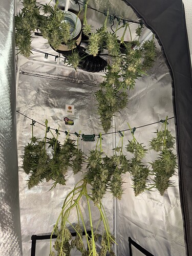 Growreport Bild 13