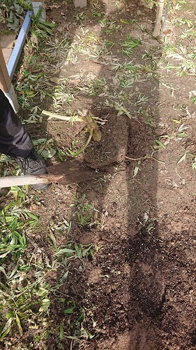Growreport Bild 14