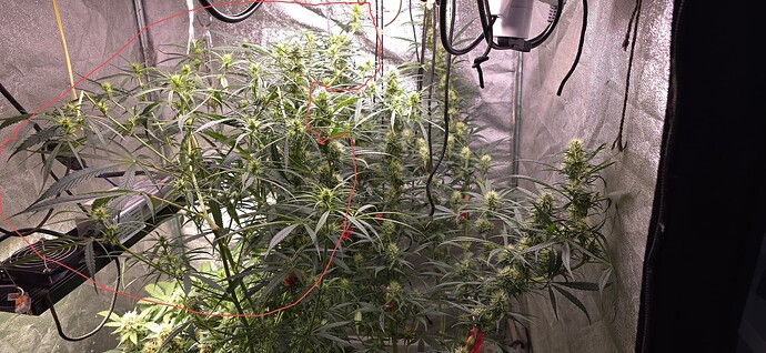 20250607_201714_edited_