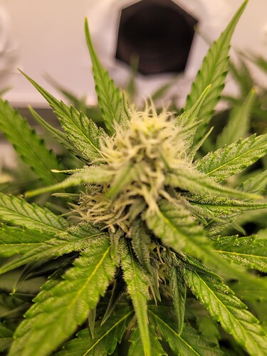 Growreport Bild 8