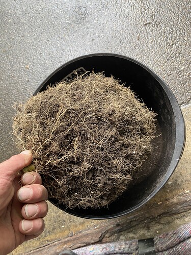 Growreport Bild 28