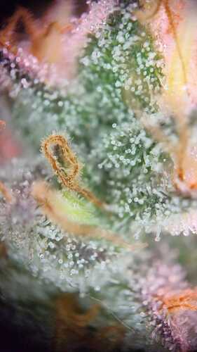 WhatsApp Bild 2024-06-12 um 17.12.56_053e4a20