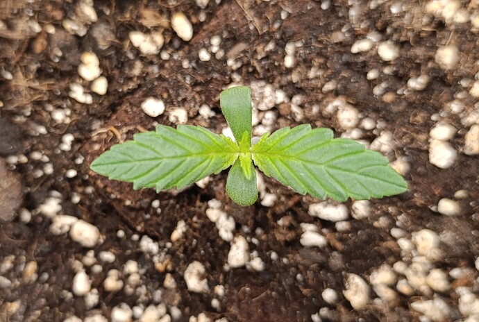 Growreport Bild 3