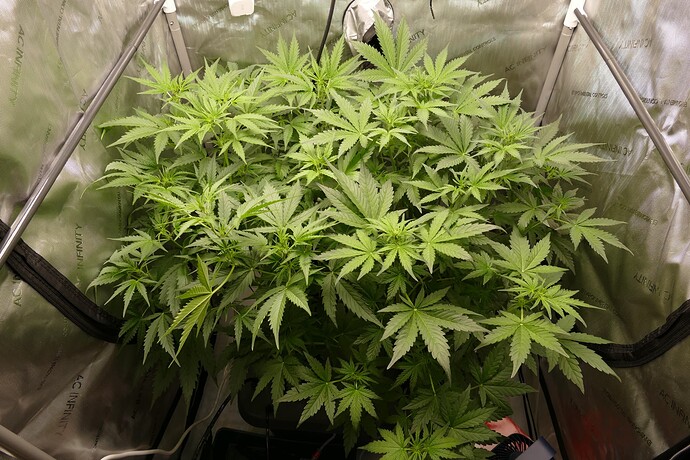 Growreport Bild 2