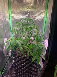 Bild1 um 16.18.18_7e641242