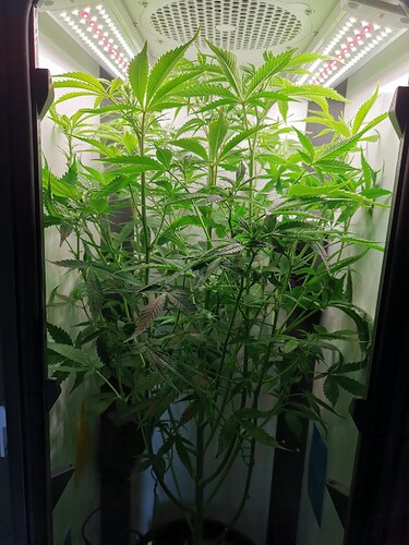 Growreport Bild 7