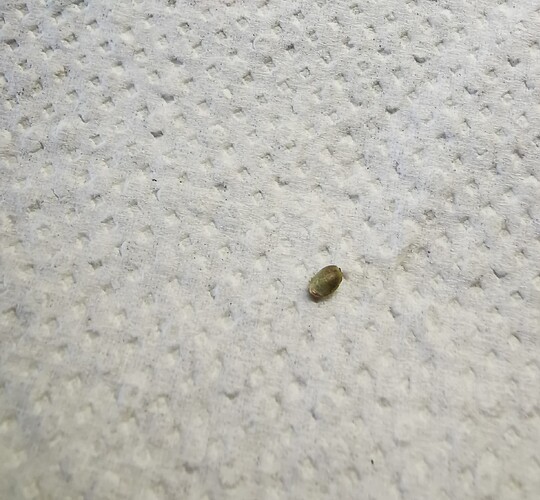 IMG_20250228_122931_edit_91777441426099